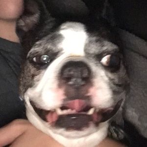 Meet your Posher, Thomas